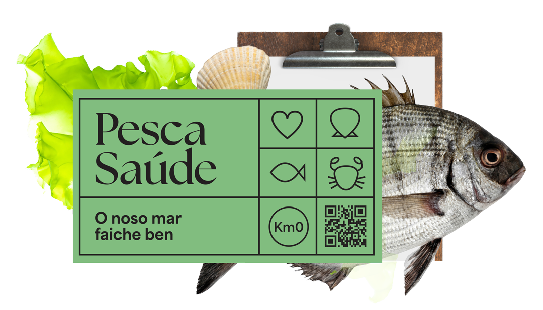 Pesca Saúde